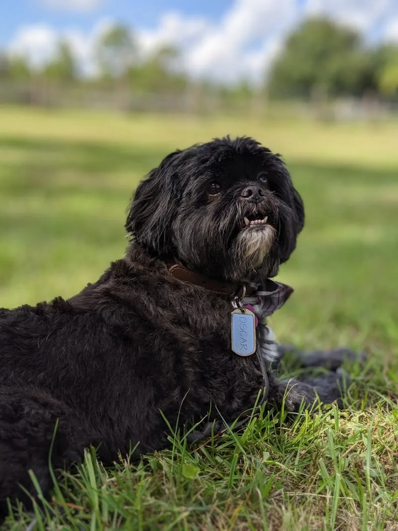 Know Your Best Channels.